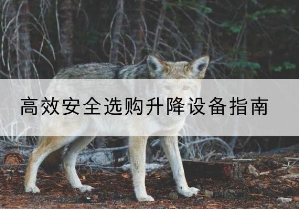 于都升降货梯厂家推荐-*安全选购升降设备指南
