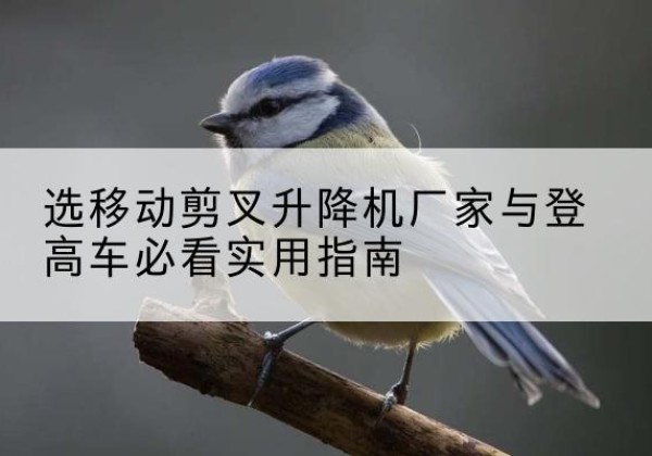 于都电动升降机厂家-选移动剪叉升降机厂家与登高车必看实用指南